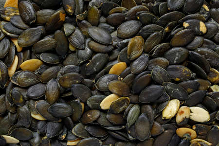 Pumpkin seeds backgroundの写真素材