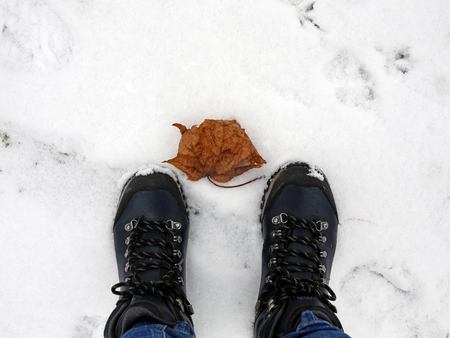 winter hiking shoes and autumn leaf on the snow, top viewの写真素材