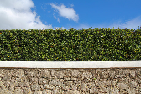 old stone wall, hedge and blue skyの写真素材