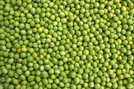 green peas background or textureの写真素材