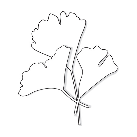 ginkgo leaves icon- vector illustrationのイラスト素材