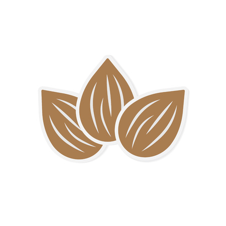 raw almond icon- vector illustrationのイラスト素材