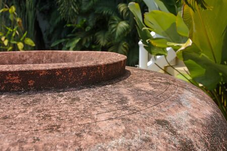 closeup of clay amphora in he tropical garden