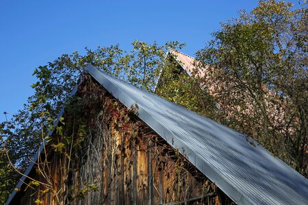 roofs of wooden hut in autumn sceneryの写真素材