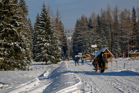Tatra Mountains, Poland, december 16, 2018: horse sleigh ride with tourists and cross-country skiers in the Chocholowska Valley at sunny dayのeditorial素材