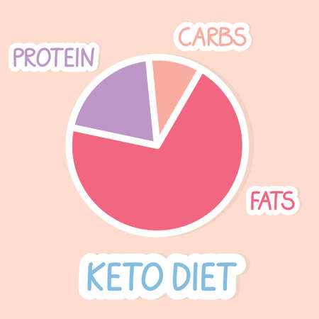 proportions of ketogenic diet - vector illustrationのイラスト素材