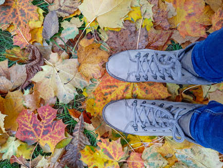 autumn walk, boots in maple leaves