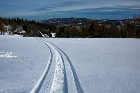 snowmobile tracks in snowの写真素材