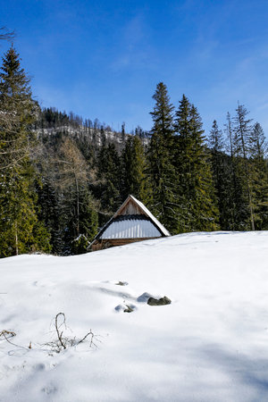 Nosal mountain and wooden hut in Kuznice, Zakopane, Polandの写真素材