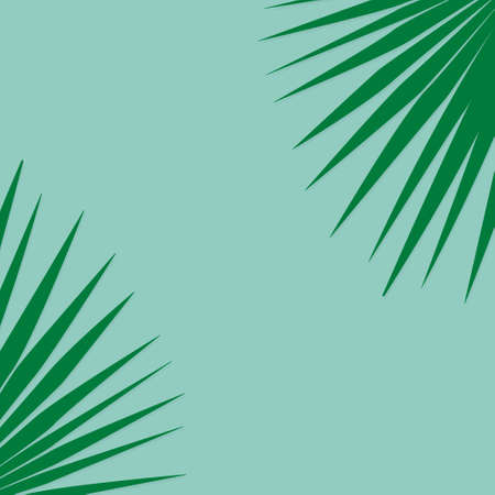 palm leaf flat lay composition with copy space vector illustrationのイラスト素材
