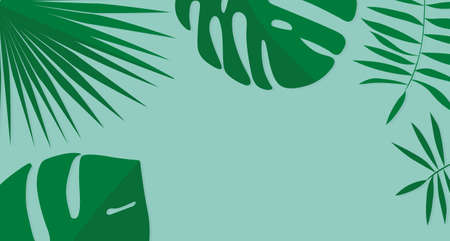summer composition, tropical monstera palm leaves with copy space vector illustrationのイラスト素材
