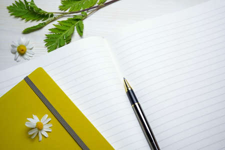 open notebook, chamomile flowers, green leaves and pen on white wooden boards