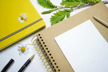 spiral notebook, chamomile flowers, green leaves, pen, pencil on white wooden boardsの写真素材