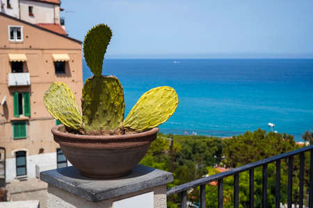 turquoise Tyrrhenian Sea seen from the viewpoint of beautiful italian town Tropea, Calabria, Italyの写真素材
