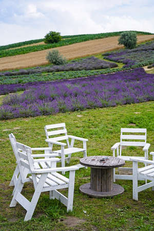 empty wooden tables and chairs and lavender field in the backgroundの写真素材