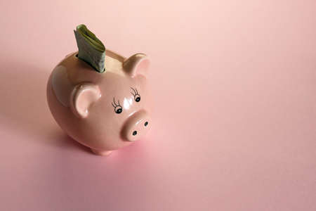 euro banknote in piggy bank on pink backgroundの写真素材