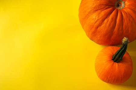 pumpkin on yellow paper background with copy spaceの写真素材