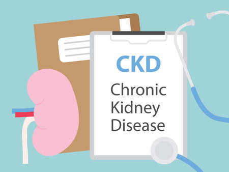 CKD Chronic Kidney Disease concept- vector illustration