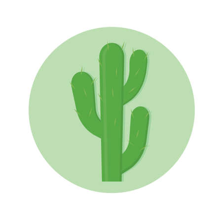 green cactus plant - vector illustrationのイラスト素材