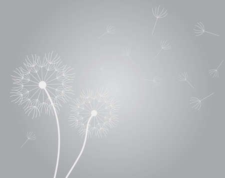 gray dandelion pattern, obituary, funral, loss background - vector illustrationのイラスト素材