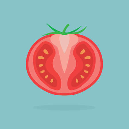 half of ripe tomato- vector illustrationのイラスト素材