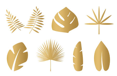 set of golden palm leaves- vector illustrationのイラスト素材