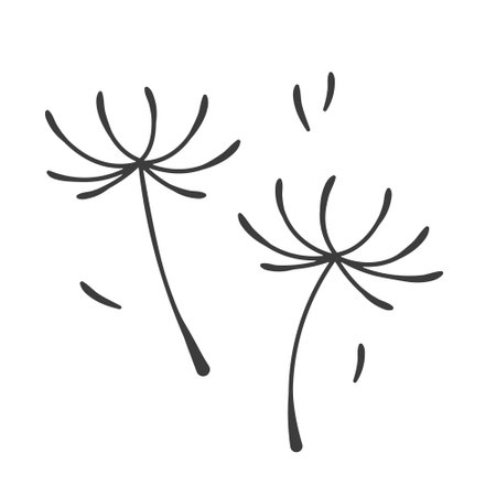 black dandelion seeds- vector illustrationのイラスト素材