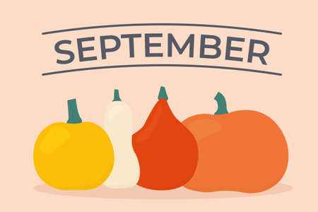 pumpkins and september banner - vector illustrationのイラスト素材