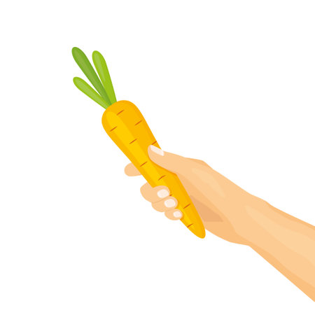 hand giving fresh carrot, encouragement, reward concept  -vector illustrationのイラスト素材