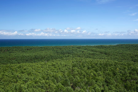 view from Stilo lighthouse to the Baltic sea and forest surrounding the beach, Polandの写真素材