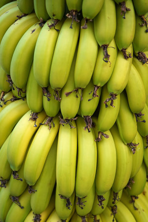 bunch of bananas on local market, fruit backgroundの写真素材