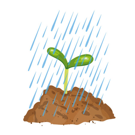 young plant under falling water drops -vector illustrationのイラスト素材