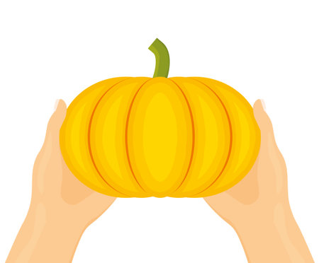 hand holding orange pumpkin; autumn season vegetable harvest; Halloween concept-vector illustrationのイラスト素材
