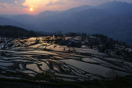 The evening Shot of a hill paddy field with the light reflection of the sunset. Taken in Yunan, Chinaの写真素材