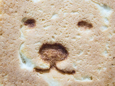 Little Bear Biscuit-Japanese made tasty biscuitの写真素材