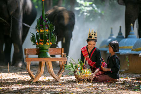 An elephant mahout and elephant walking through the haze in the jungle. Lifestyle of surin elephants village.の写真素材