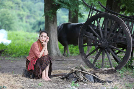 Thai woman farmer wearing local thai tradition sitting on her farm and buffalo  background,countryside Thailandの写真素材