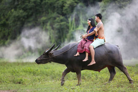 Couple Thai farmers family happiness time riding on buffalo on the field, Thailandの写真素材