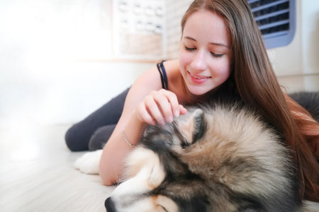 Beautiful girl with alaskan malamute dog at homeの写真素材