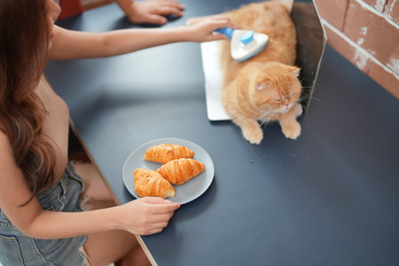 Furry friends. woman resting with cat on sofa at homeの写真素材