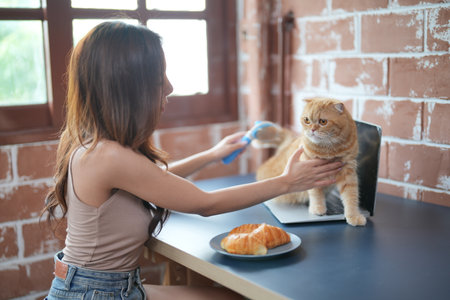 Furry friends. woman resting with cat on sofa at homeの写真素材