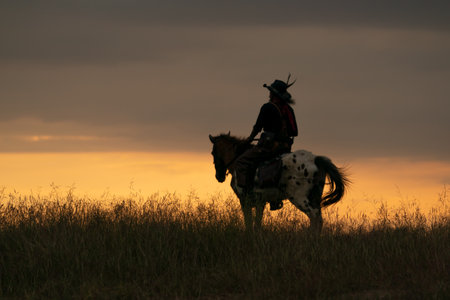 Cowboy on horseback in the field at sunset, South Africa