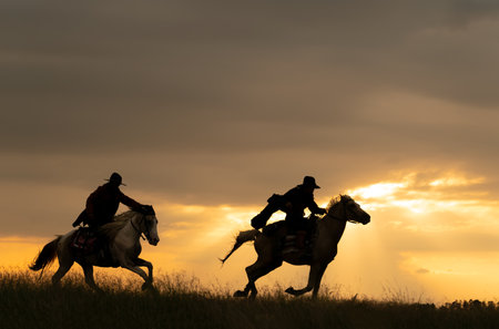 Silhouette of cowboy on horseback in the field at sunsetの写真素材