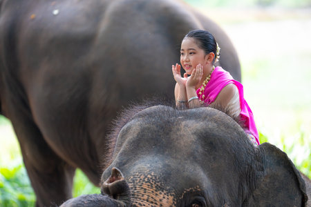 Unidentified Thai girl in traditional costume with elephant in Ayutthaya, Thailand.の写真素材