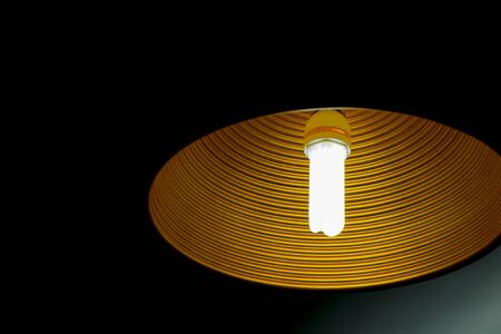 The modern hanging lamp on working room.
