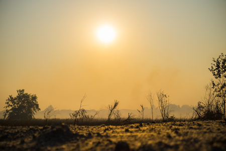 Life ecology solitudeの写真素材