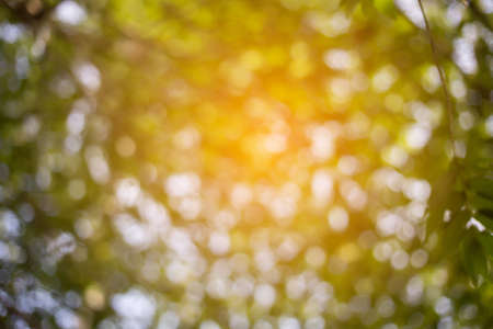 Abstract nature backgroundの写真素材