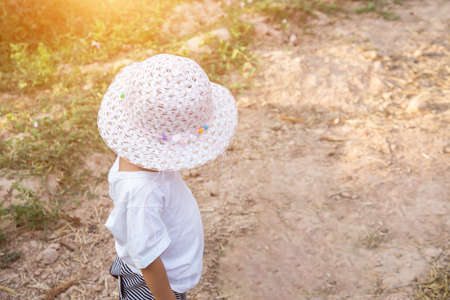 Lettuce of home gardenの写真素材