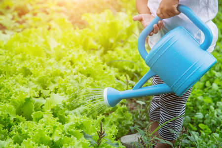 Little girl watering tree with watering potの写真素材