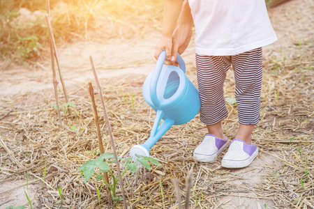 Little girl watering tree with watering potの写真素材